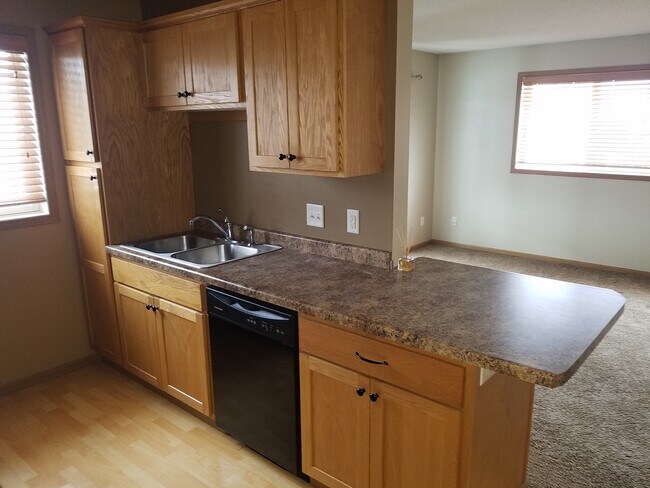 Updated kitchen - 875 Bahls Dr