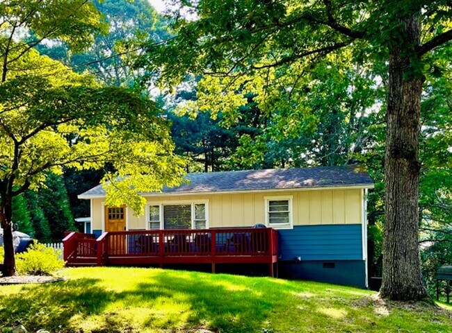 Foto del edificio - Black Mountain Gem Near Lake Tomahawk!