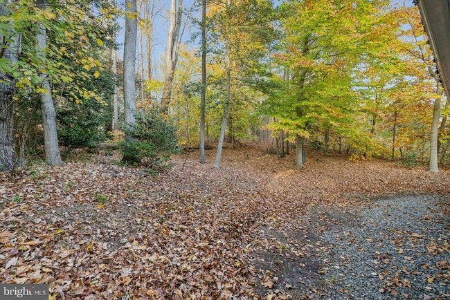 Building Photo - 1317 Charleston St