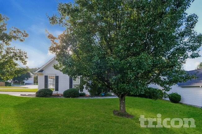 Building Photo - 16 Waterloo Ct