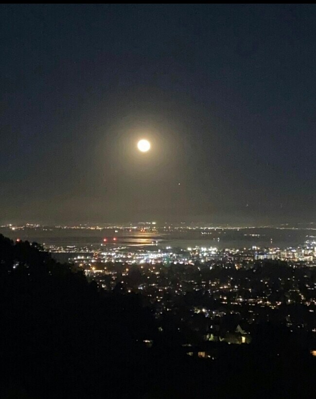 Foto del edificio - 416 Portofino Dr