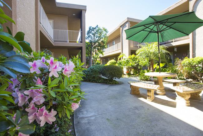 Interior Photo - Trade Winds Apartments