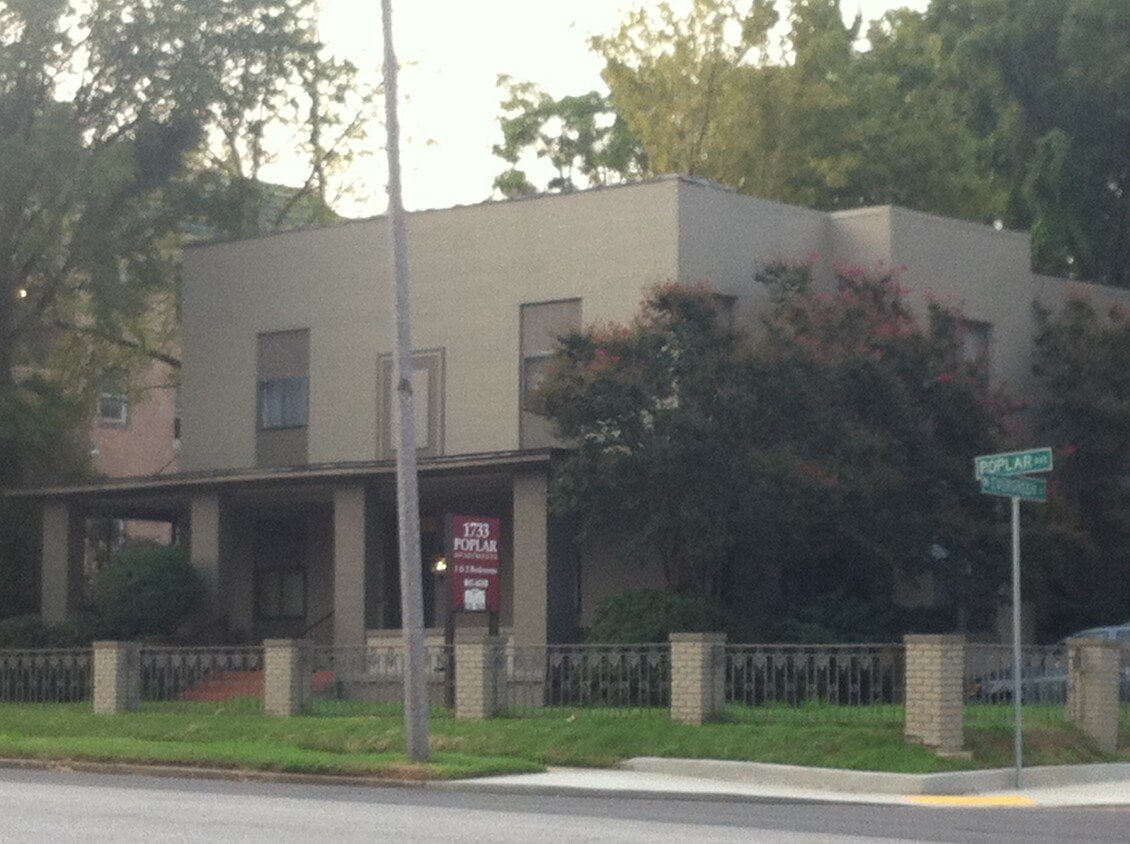 Primary Photo - 1733 Poplar Ave