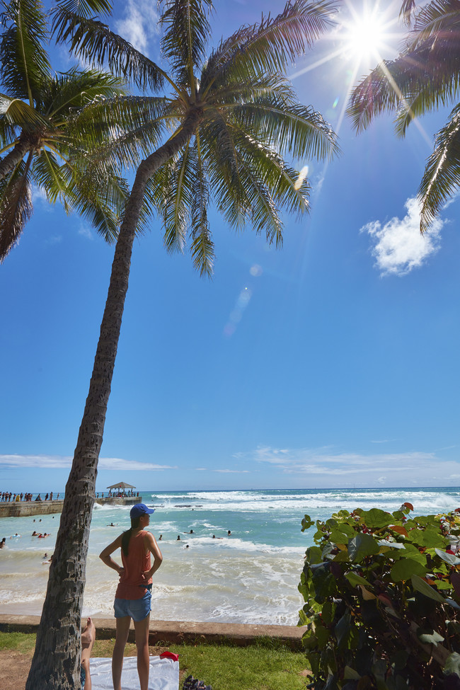 Beautiful Waikiki Beach - 201 ?Ohua Ave