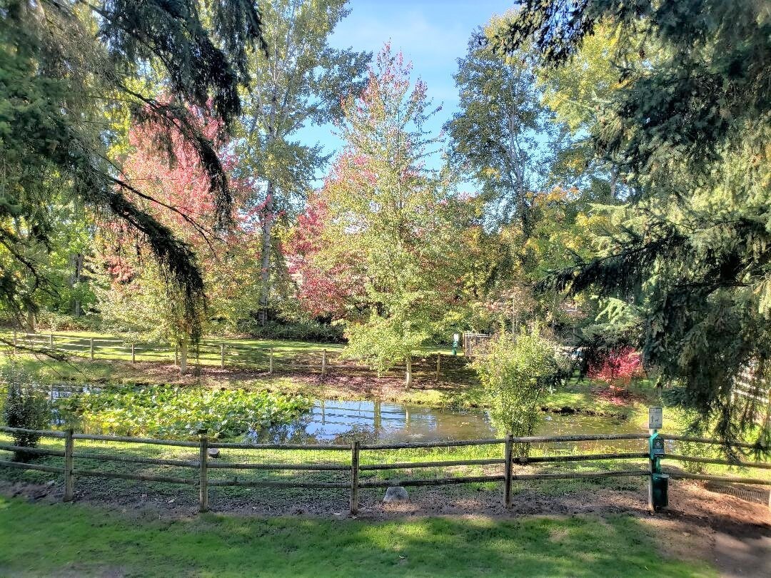 Pinewood Village Apartments Apartments Bellevue, WA