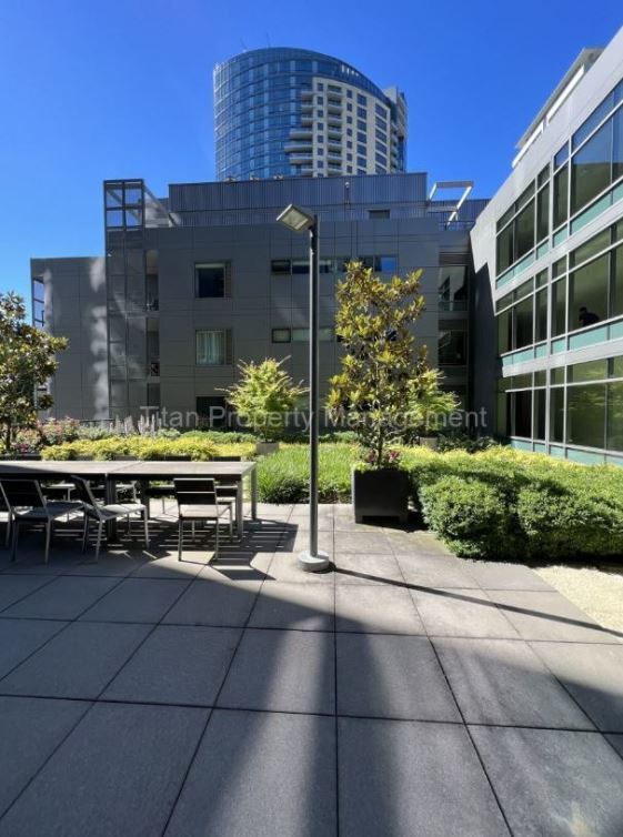 Primary Photo - Gorgeous studio overlooking the Willamette...