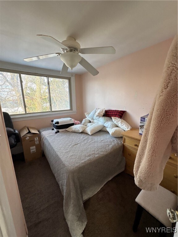 Foto del edificio - 5334 Genesee St