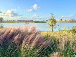 Building Photo - 16315 Mesquite Fld Dr