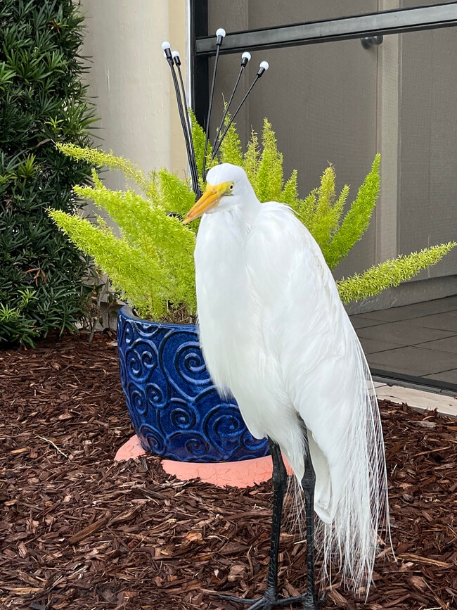 Building Photo - 6180 Sun Blvd