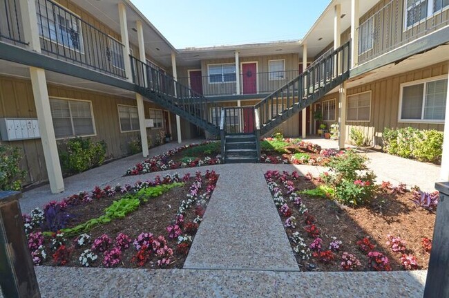 Building Photo - 1 Bed 1 Bath Apartment in the Mesta Park A...