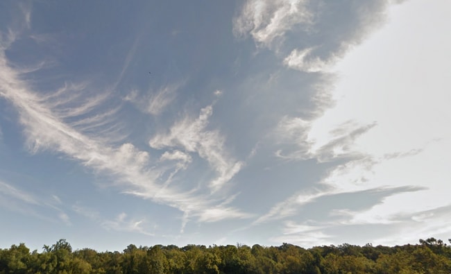 Building Photo - 6608 Edsall Rd