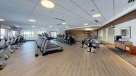 This fitness center is a comprehensively outfitted facility designed to support a wide range of workout styles and fitness goals. The space is finished with light wood-look flooring throughout, a drop-panel ceiling with recessed circular lighting, and large windows that bring in natural light and provide outdoor views, creating an open and energizing atmosphere.

The main cardio floor is generously sized, housing an extensive lineup of treadmills, StairMaster climbers, stationary bikes, and Concept2 rowing machines, all arranged to allow ample space between equipment. Wall-mounted flat-screen televisions are positioned throughout for easy viewing during workouts.

A dedicated functional training zone is set apart by a decorative wood-slat accent wall and large mirror panels. This area includes a multi-tiered rack stocked with stability balls, medicine balls, resistance bands, yoga mats, and foam rollers, supporting stretching, balance, and group exercise activities.

A glass-railed mezzanine overlooks a lower level that features a notable climbing wall with colorful hand-holds, adding a distinctive recreational element to the facility. The mezzanine level includes seating and additional open floor space.

Overall, the fitness center balances modern aesthetics with functional design, offering a motivating environment suited to diverse training needs.