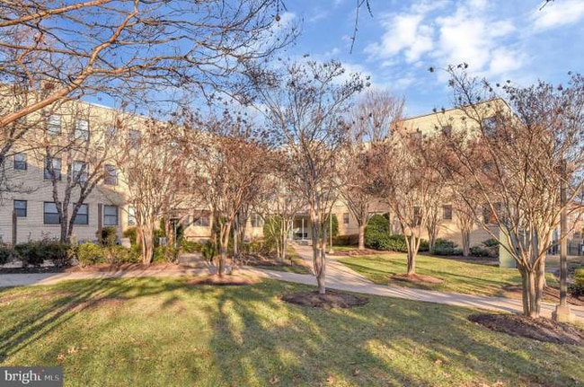 Building Photo - 212 Oakwood St SE