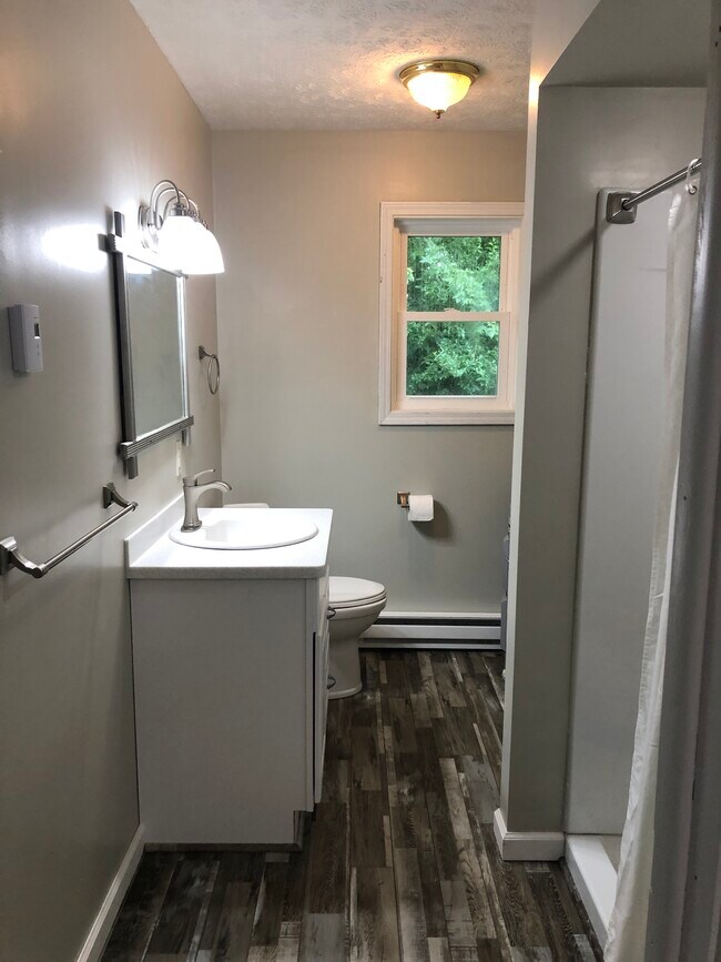 Baño más nuevo - 396 Autumnwood Dr