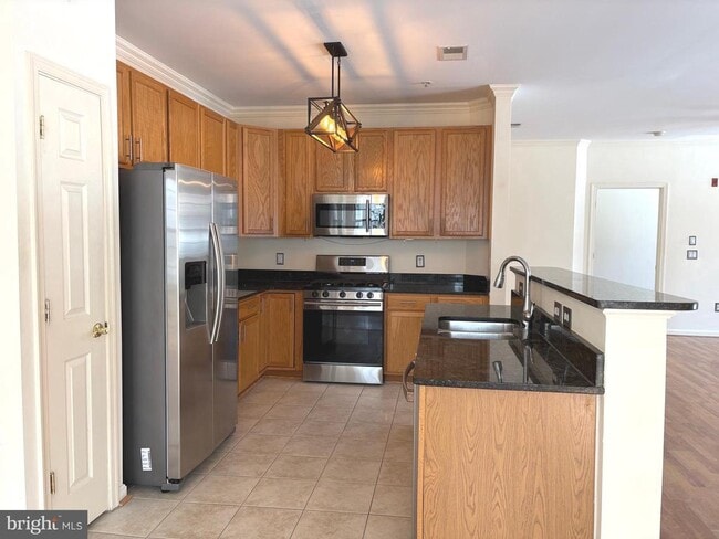 Building Photo - 11565 Cavalier Landing Ct