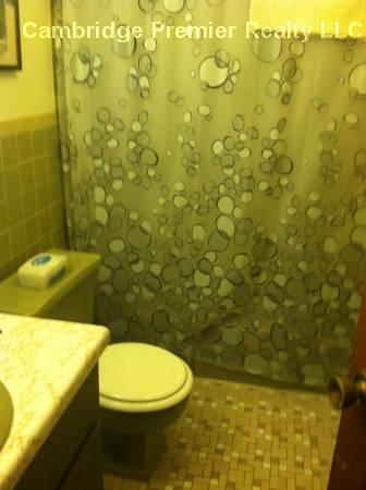 Foto principal - 765 Somerville Ave