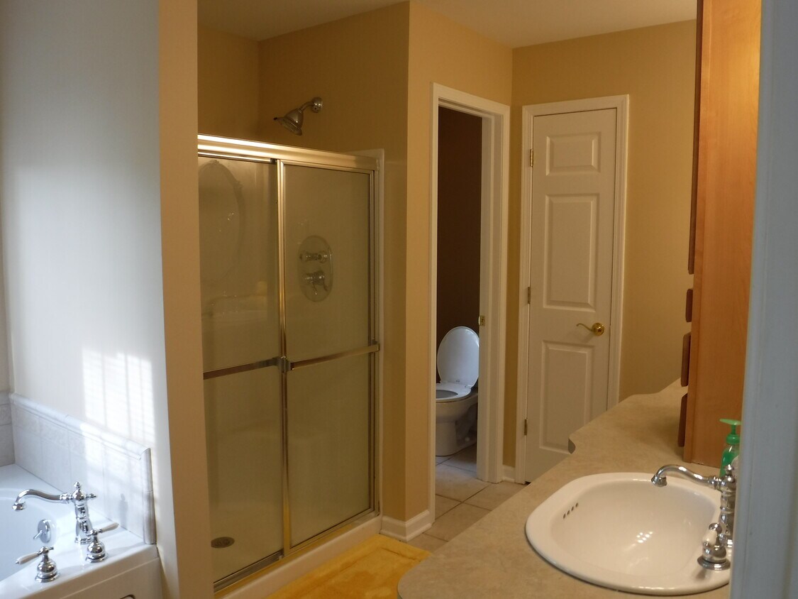 Master Bath - 2 Westbury Dr