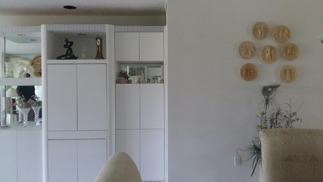 In built wall unit - 4266 Deste Ct