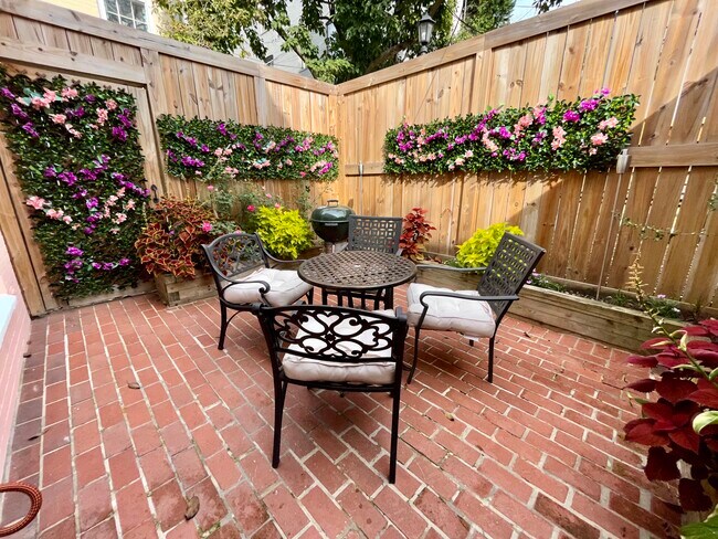 Glorious sun soaked garden - 1233 Potomac St NW