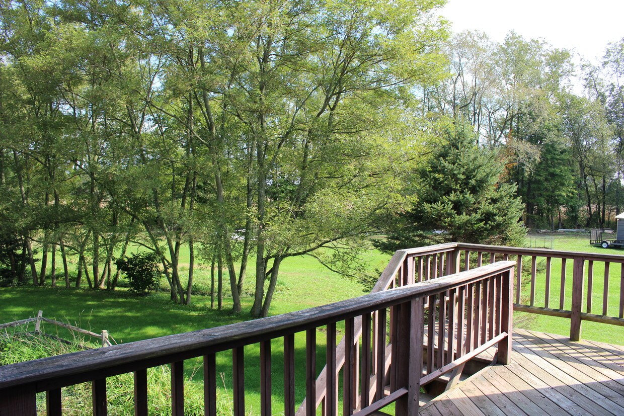 View from back porch - 26502 Arneman Rd
