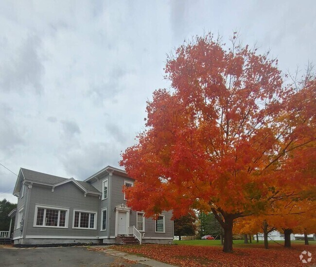 Homes for Rent in 13668