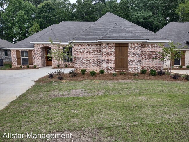 Building Photo - 3 br, 2 bath House - 1007 Silver Circle