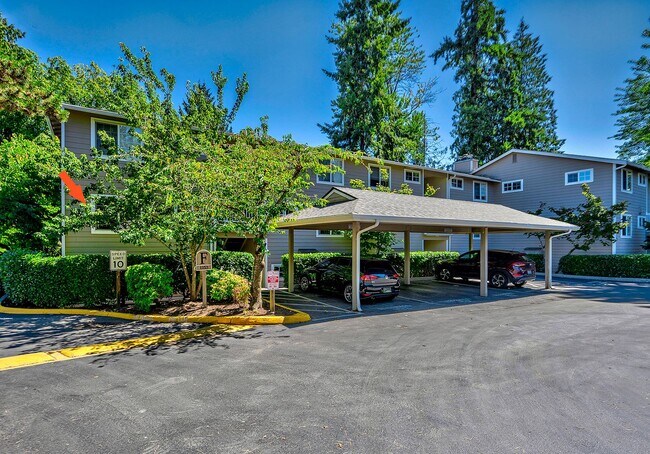 Foto del edificio - Echo Lake One Bedroom
