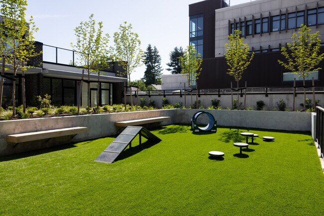 Parc pour chiens - One Fifty Braid