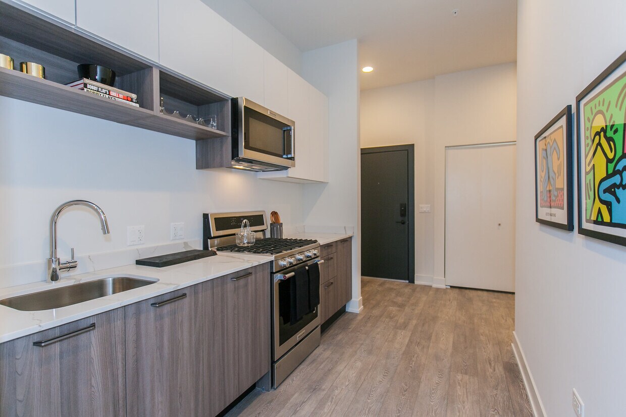 849 N Larrabee St Unit 210, Chicago, IL 60610 Condo for Rent in