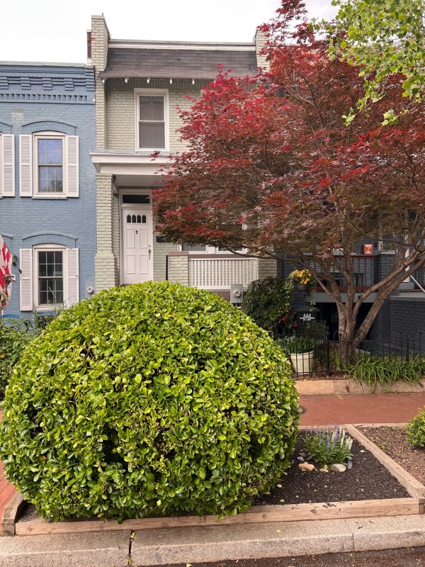 Photo - 902 I St SE Apartment