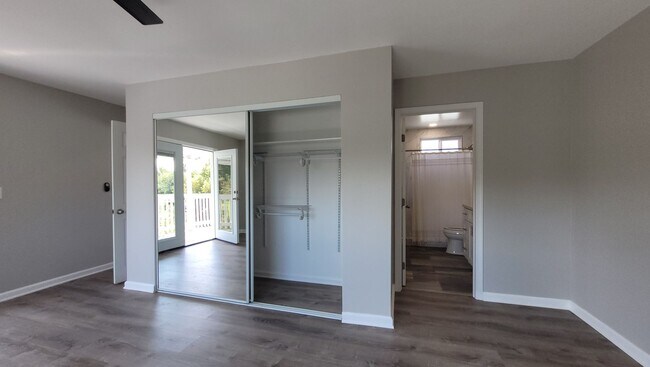 Building Photo - Newly Renovated Studio