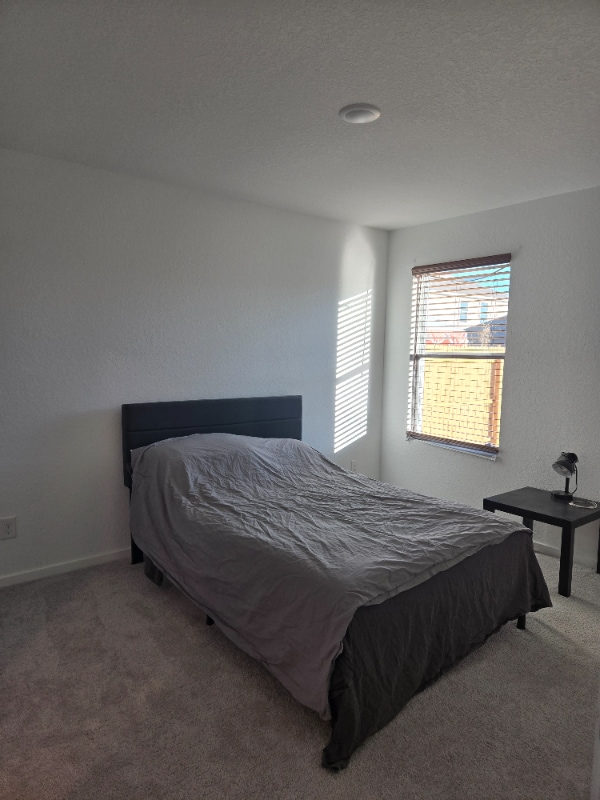 Foto del edificio - 7118 Shamrock Dome