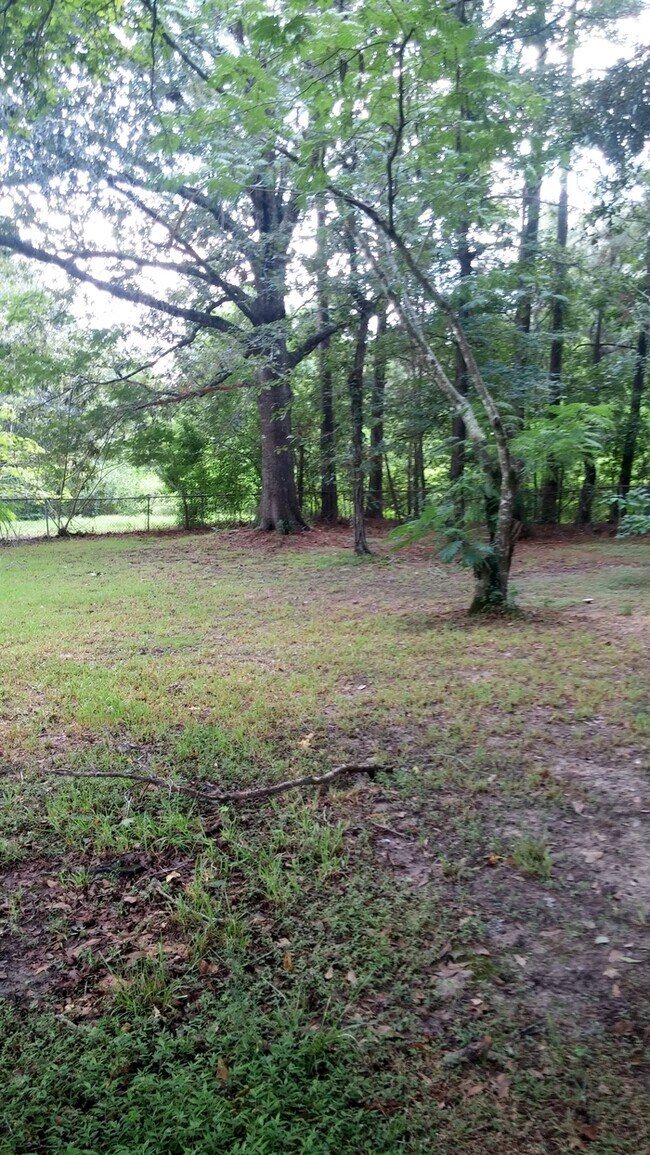 Little Cypress Mauriceville House for Rent in Orange, TX