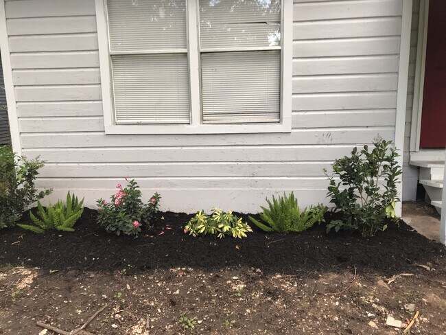 Building Photo - beautiful just remodeled home in Jones Creek. Move In Ready!