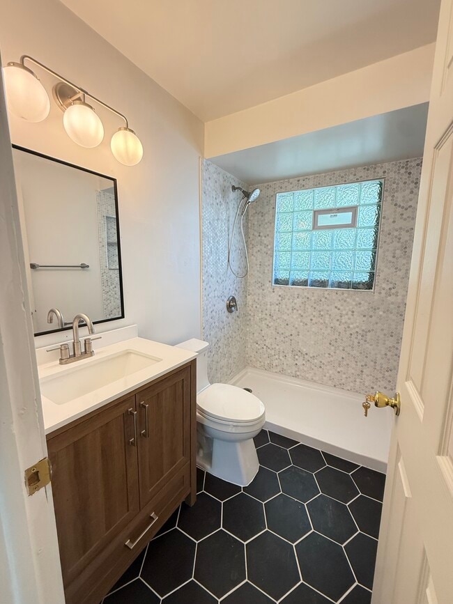 New Bathroom - 3807 Rochester Rd