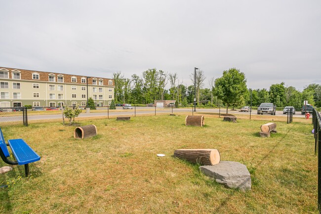 Dog Park - Enclave at Brockport