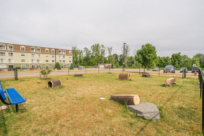 Parque para perros - Enclave at Brockport