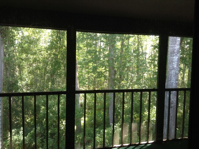 Foto del edificio - 11606 Baywood Meadows Dr