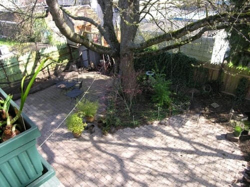 Building Photo - Madrona Duplex - 1 bedroom