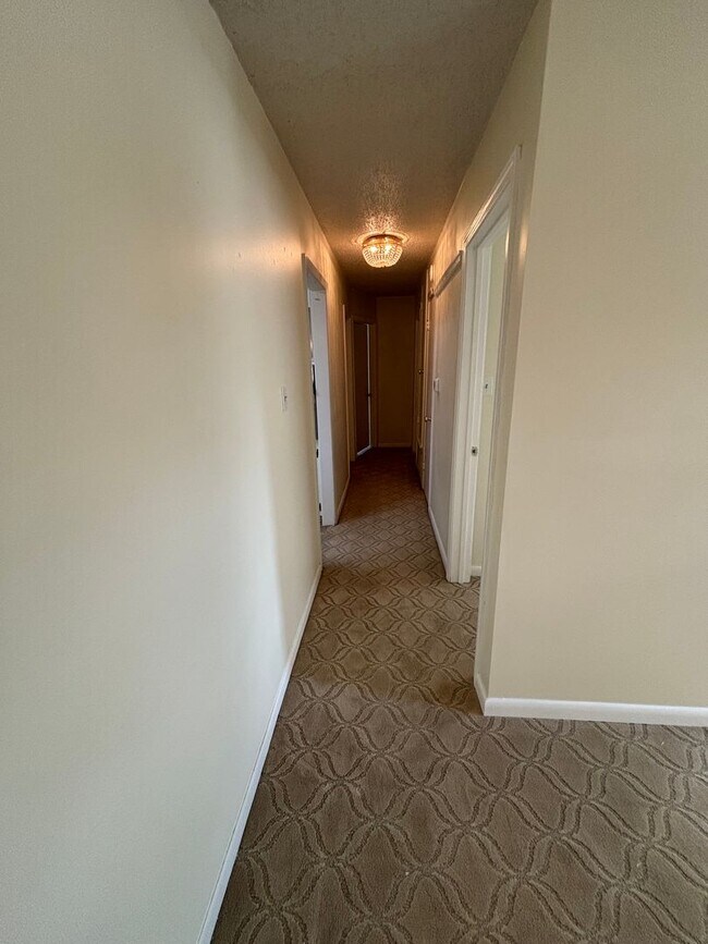 Foto del edificio - Central Bossier Beauty!