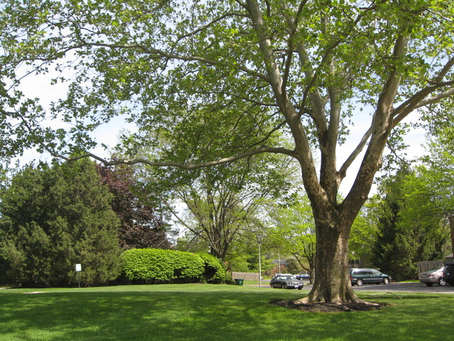 Building Photo - Mackenzie Village Apartments