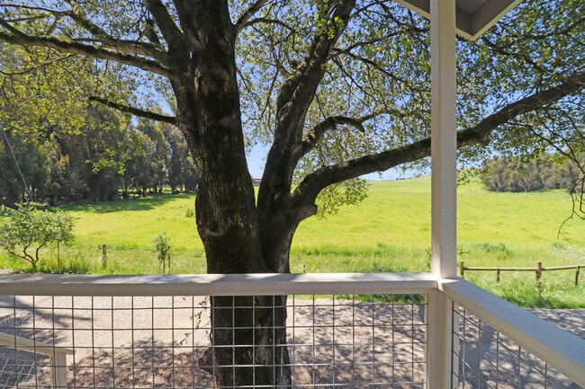 Foto del edificio - 2731 Stony Point Rd