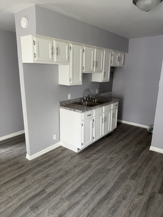 Newly Renovated Kitchen - 254 E Jackson St