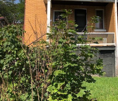 Rear Private entry - 45 Union St