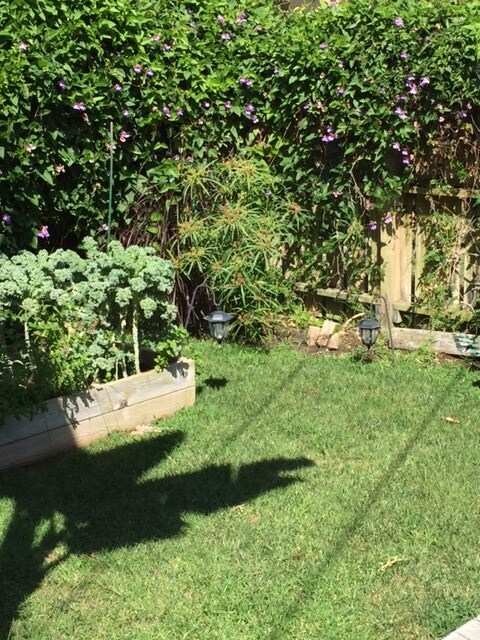 Yard - 9052 1/2 Poinsettia Ct