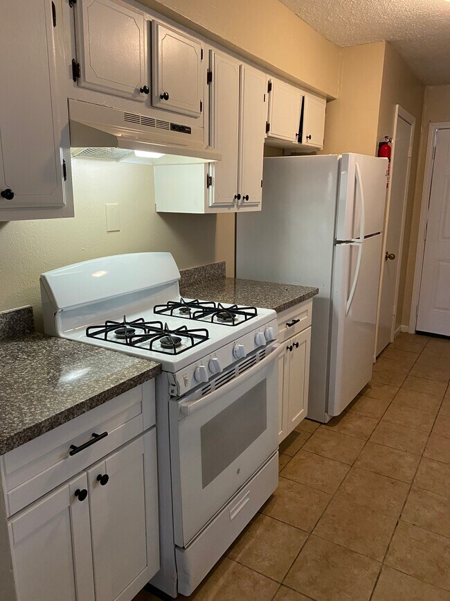 Foto del edificio - 3206 Scotch Moss Ln