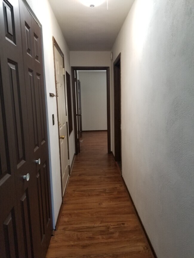 Hallway/front door - 1033 Valley Dr