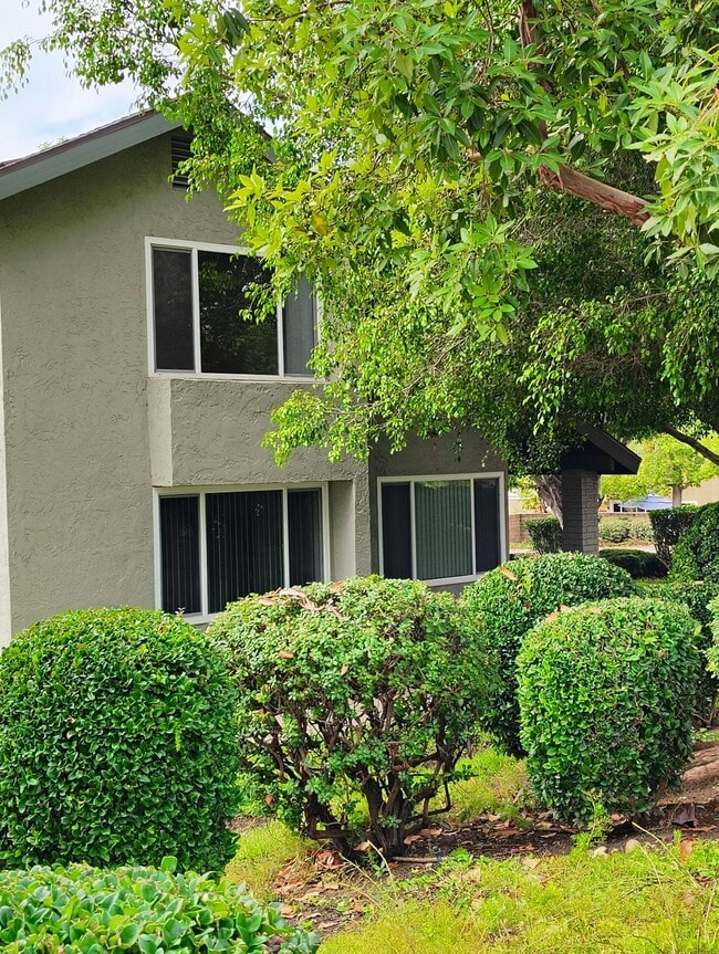 Foto del edificio - 10805 Caravelle Pl