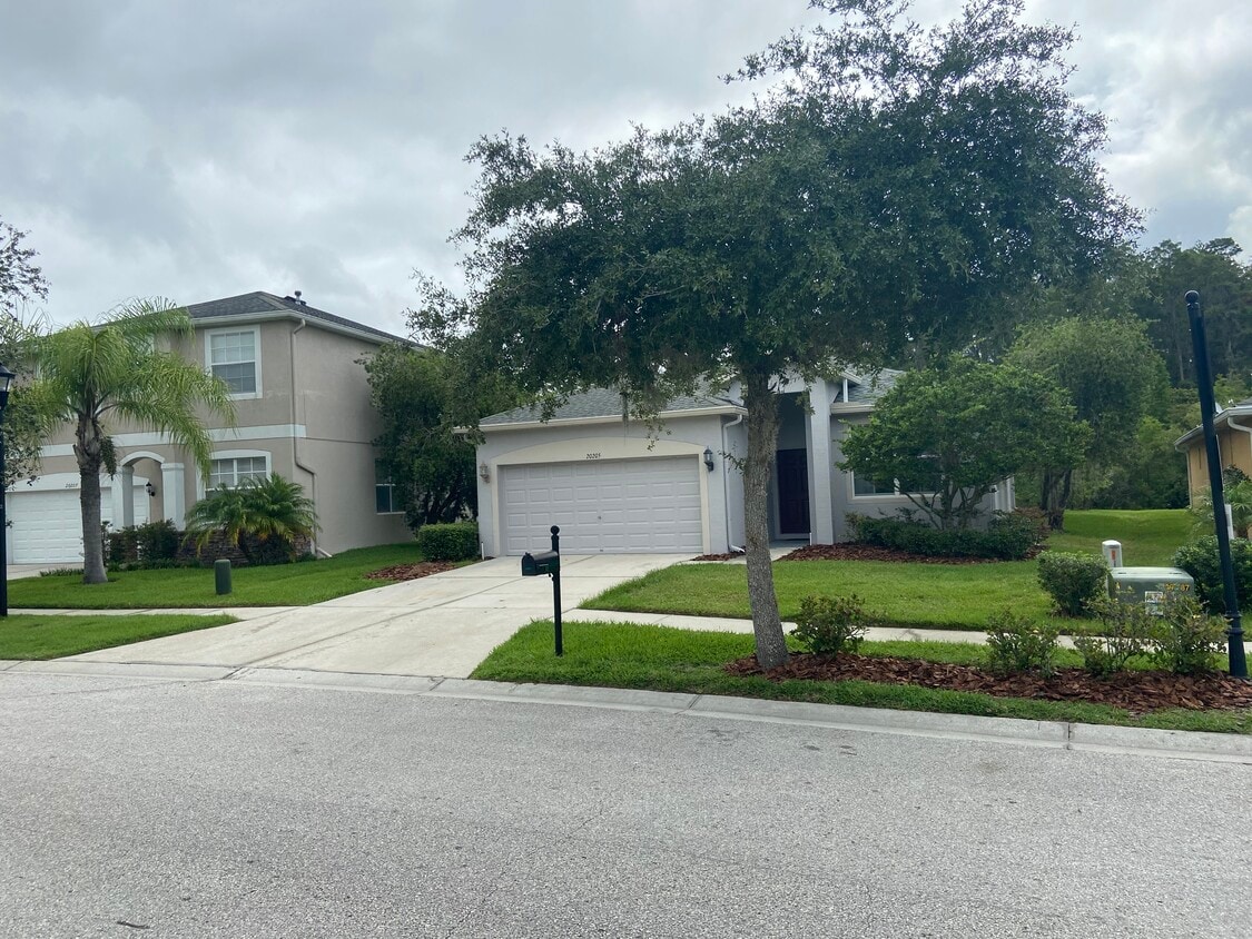 Photo - 20205 Merry Oak Ave (Tampa, FL)