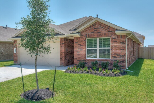Building Photo - 23603 Umbrella Pine Dr